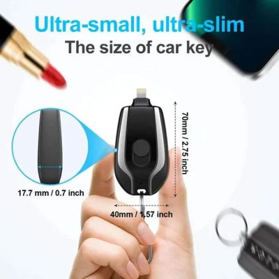 Urbane Hive® Portable Keychain Charger